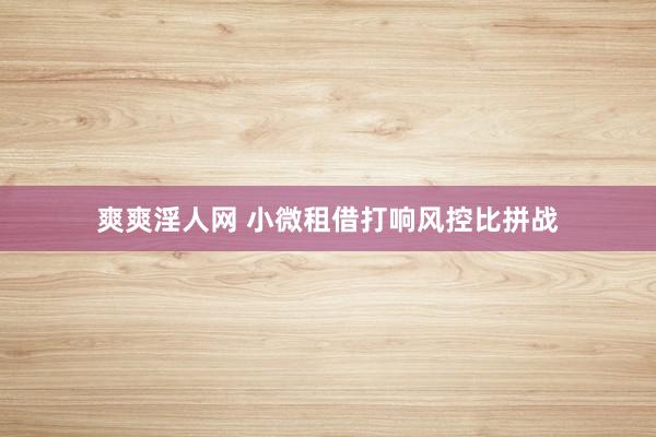 爽爽淫人网 小微租借打响风控比拼战