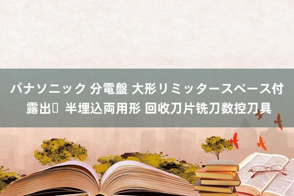 パナソニック 分電盤 大形リミッタースペース付 露出・半埋込両用形 回收刀片铣刀数控刀具
