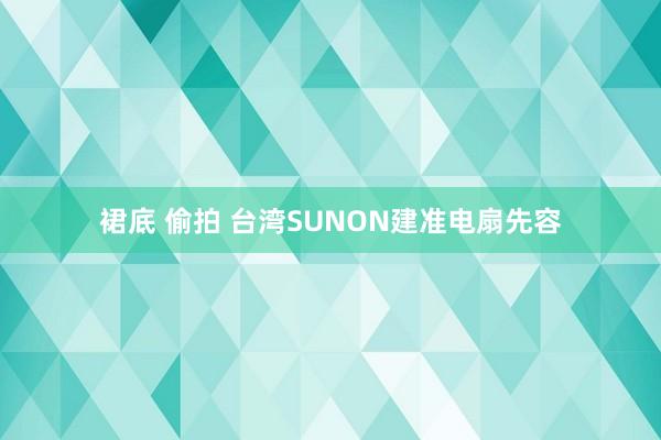 裙底 偷拍 台湾SUNON建准电扇先容