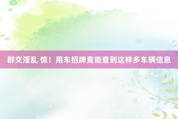 群交淫乱 惊！用车招牌竟能查到这样多车辆信息
