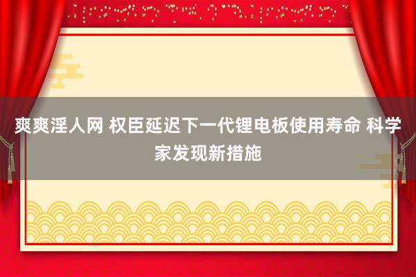 爽爽淫人网 权臣延迟下一代锂电板使用寿命 科学家发现新措施