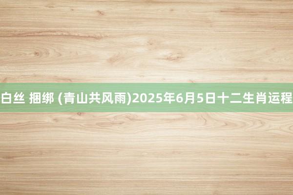白丝 捆绑 (青山共风雨)2025年6月5日十二生肖运程